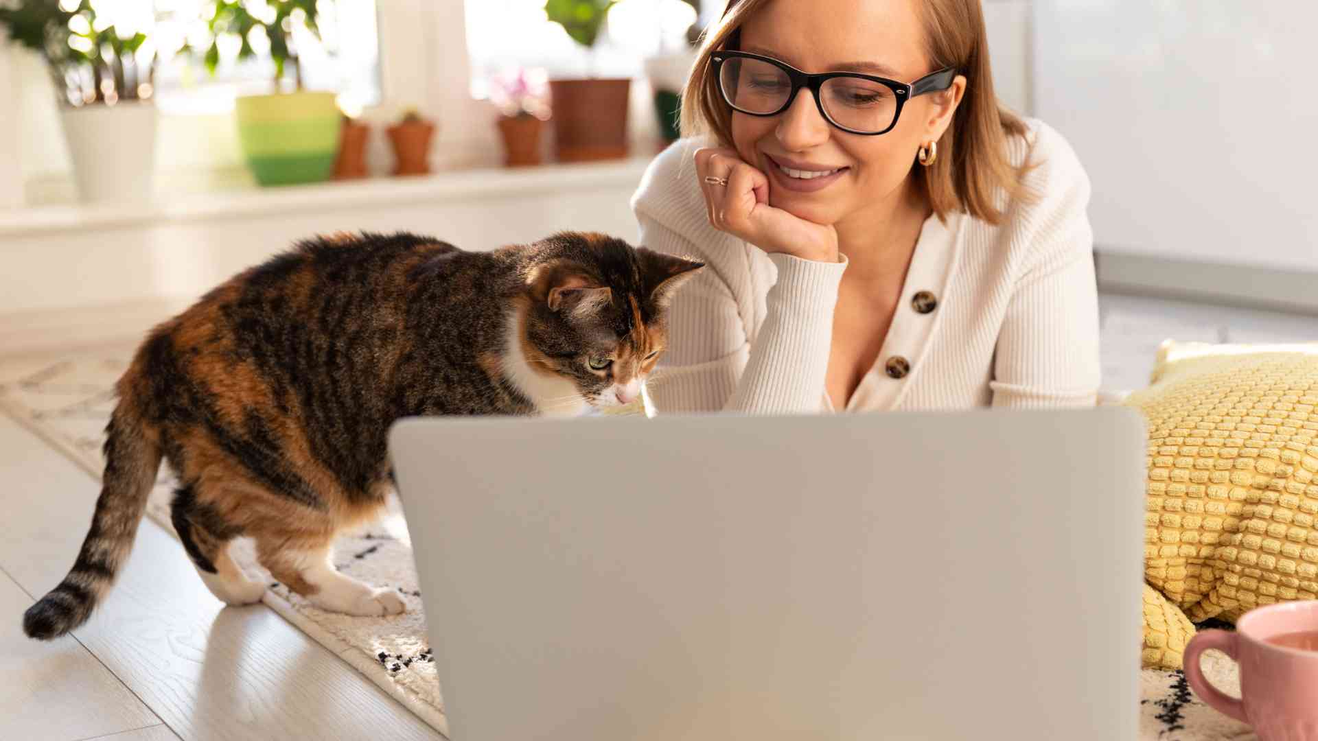 Unique Challenges and Benefits of Nomading with a Pet What are the unique challenges and benefits of nomading with a pet