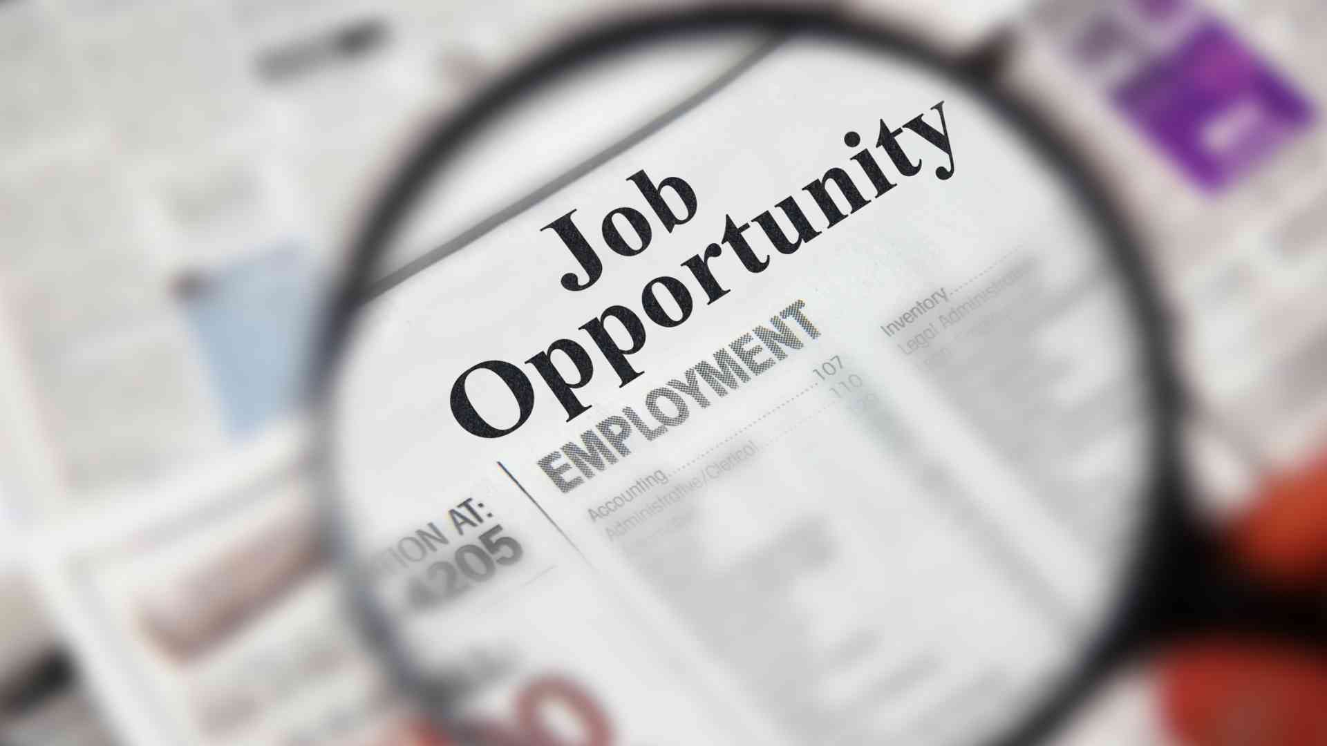 8 Most Unusual Job Opportunities for Digital Nomads