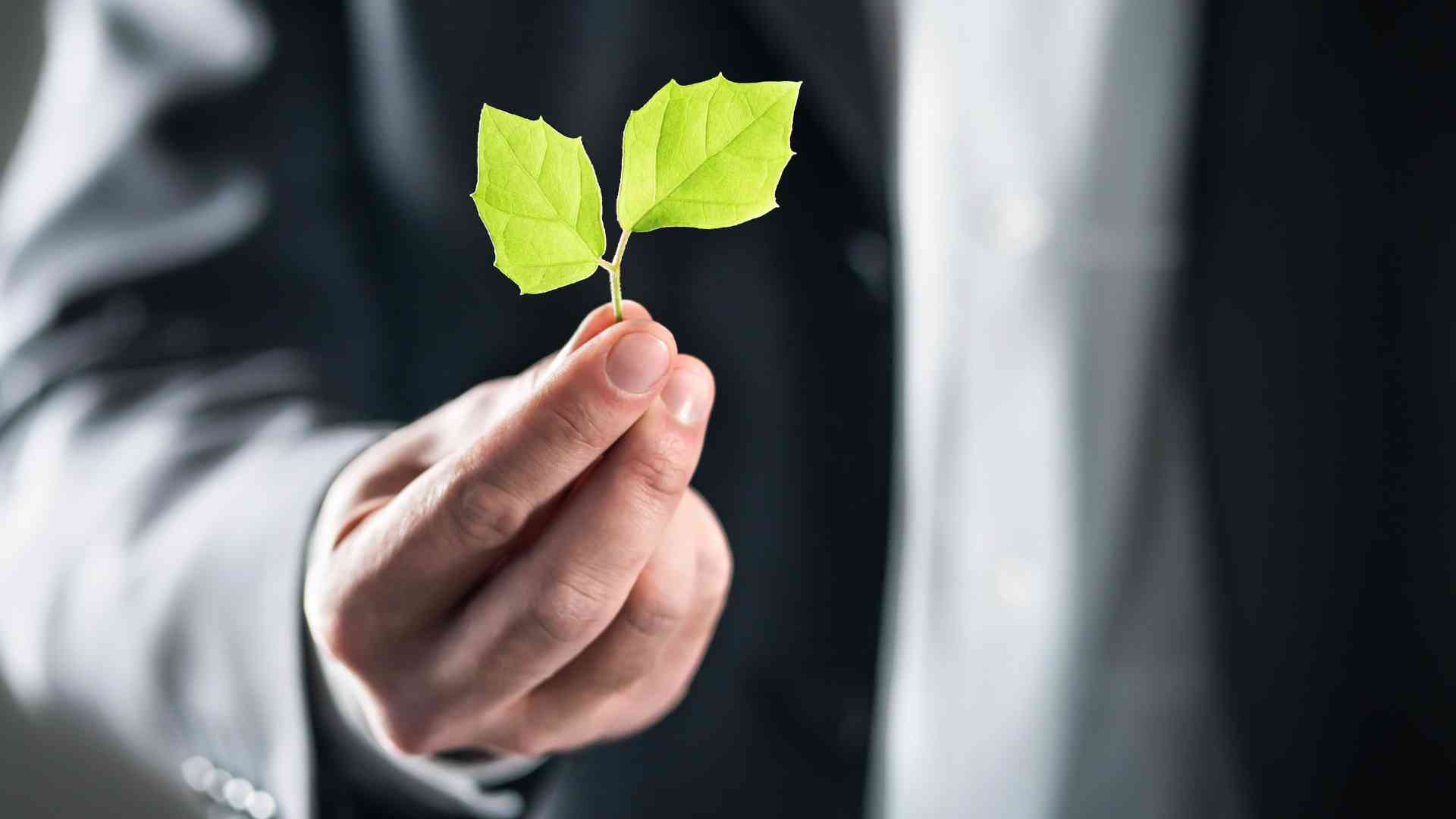 How to Practice Responsible Tourism, Minimize Footprint? How can I practice responsible tourism and minimize my environmental footprint