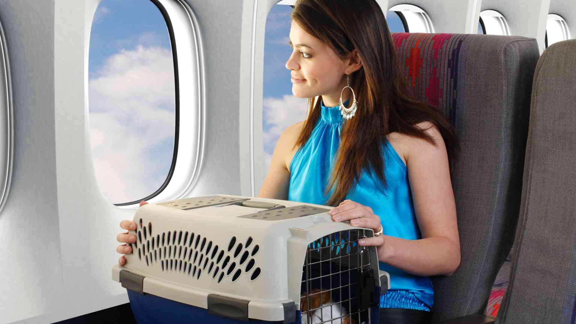 Unique Challenges and Benefits of Nomading with a Pet