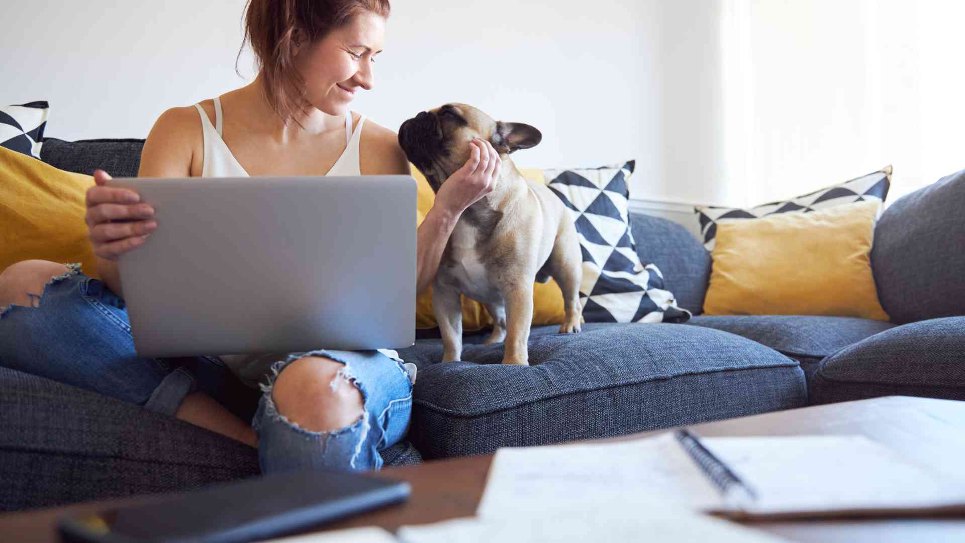 Unique Challenges and Benefits of Nomading with a Pet What are the unique challenges and benefits of nomading with a pet