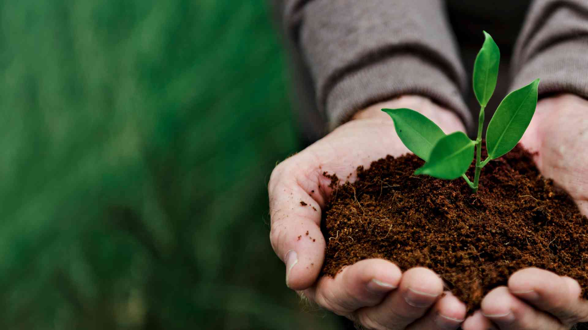 How to Practice Responsible Tourism, Minimize Footprint? How can I practice responsible tourism and minimize my environmental footprint
