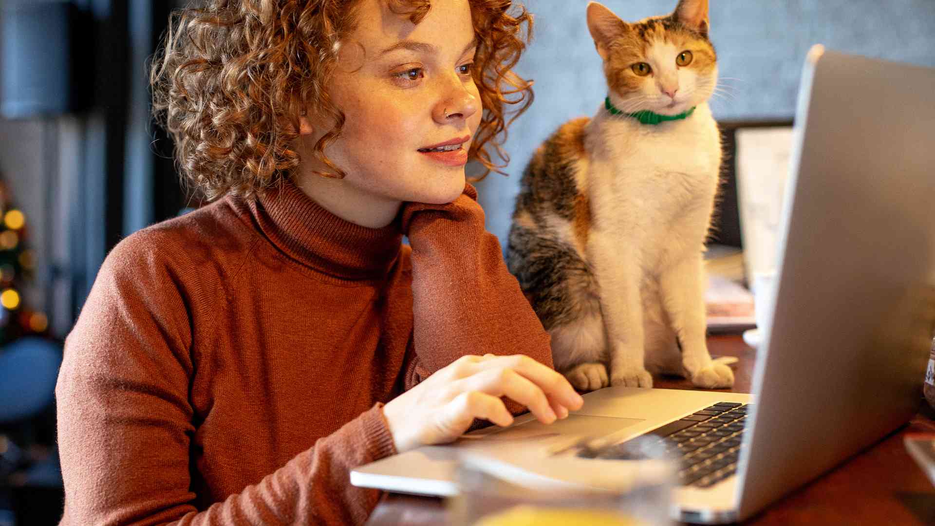 Can You Be a Digital Nomad with Cat? Guide
