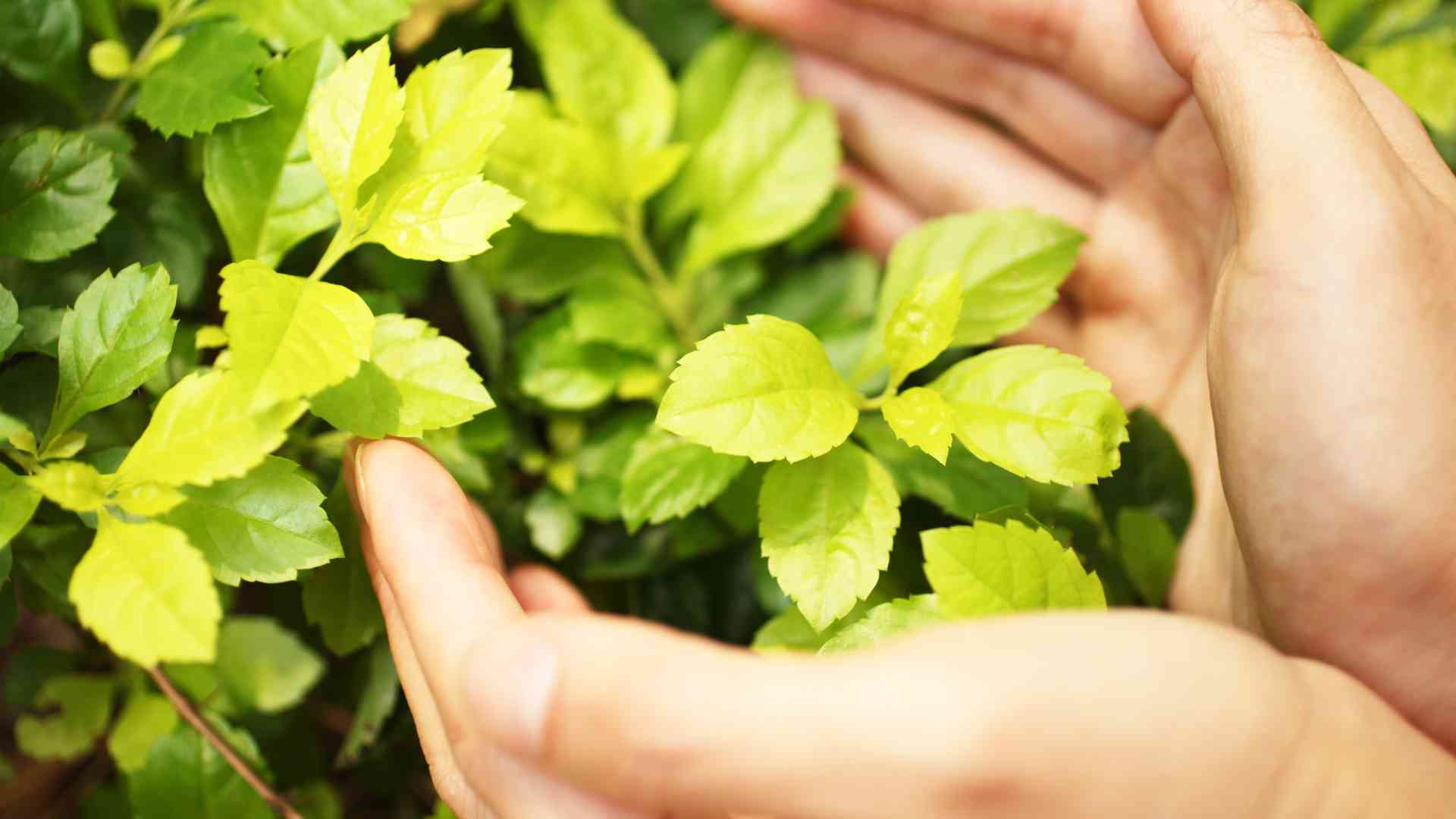 How to Practice Responsible Tourism, Minimize Footprint? How can I practice responsible tourism and minimize my environmental footprint