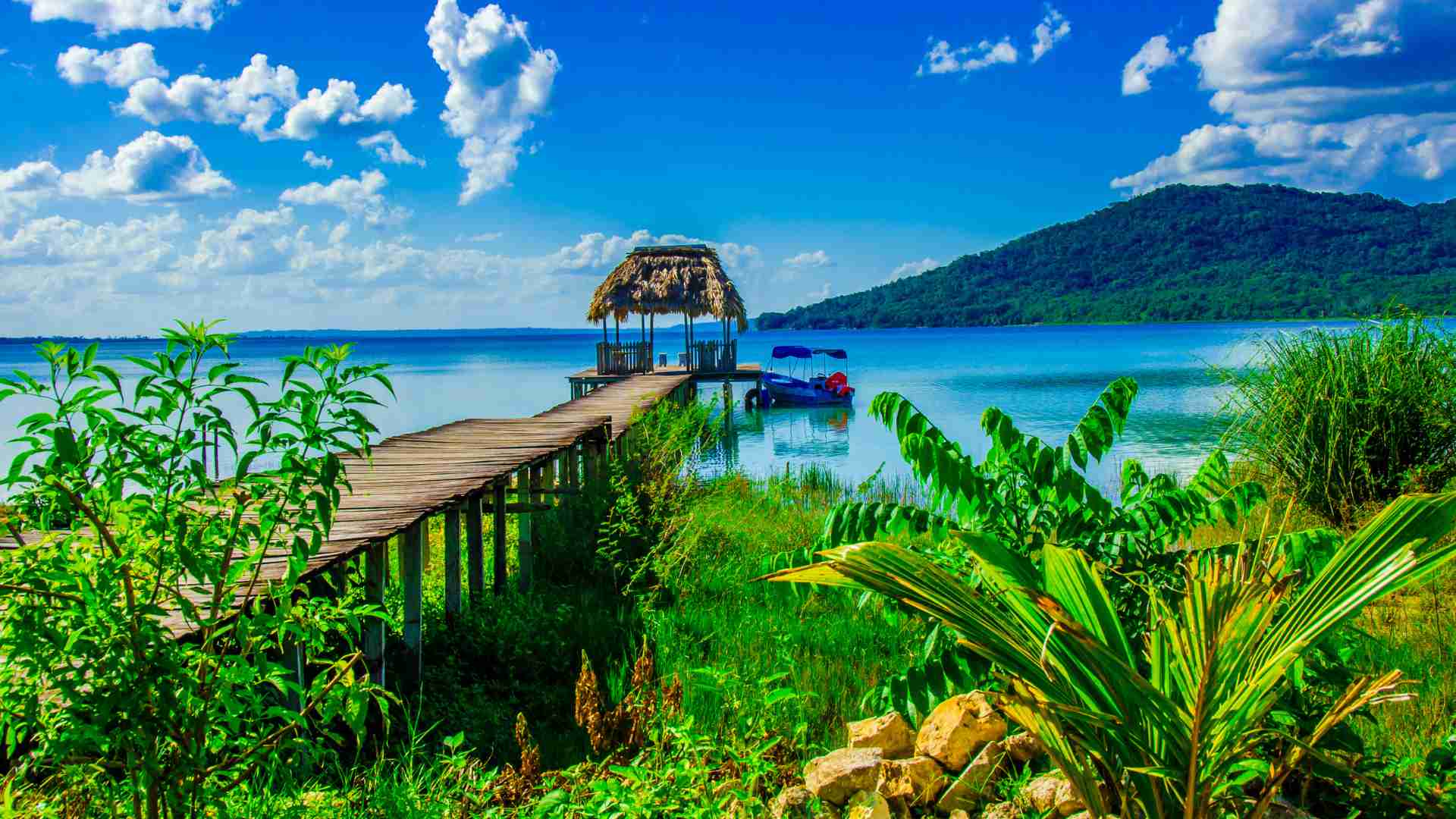 Belize Digital Nomad Visa: Requirements & How to Apply