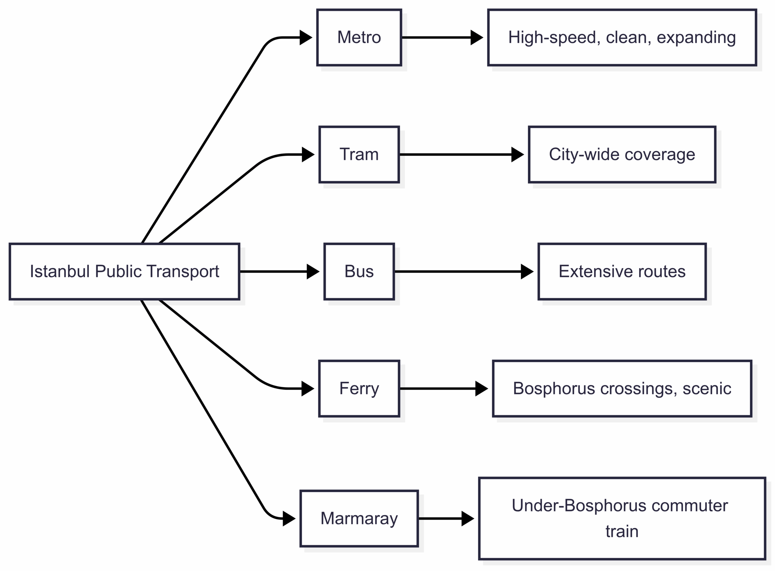Public Transport Network