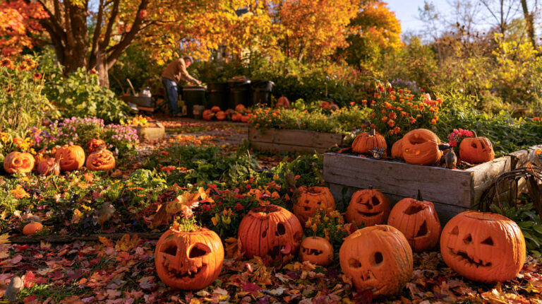 15 Ways to Reuse Jack O’ Lanterns in Your Garden