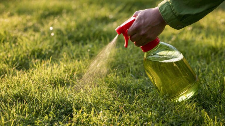Home-made weedkillers: never mix bleach and vinegar